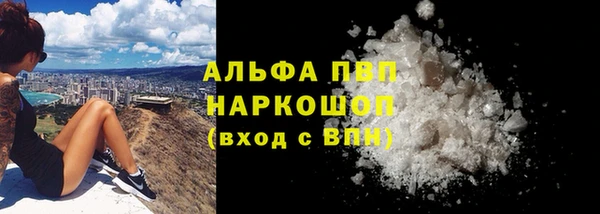 индика Верея