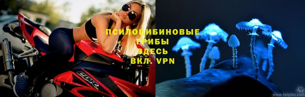 spice Липки