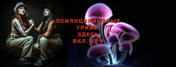 молекула духа Вязьма