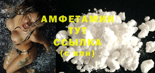 индика Верея