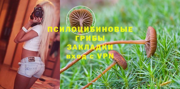 индика Верея