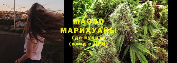 индика Верея