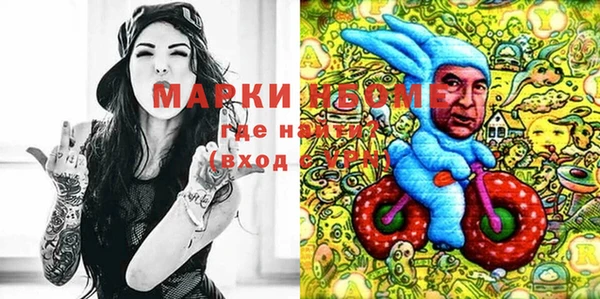 индика Верея