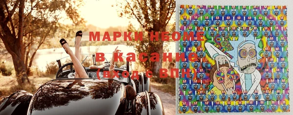 индика Верея